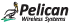 Pelican