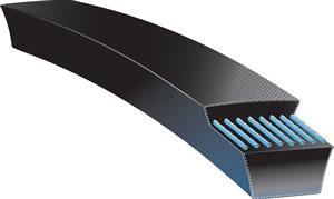 BELT B43 image
