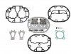 CARP PLT-0651 Image