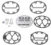 CARP PLT-0693 Image
