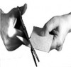 CRN 48001 Image