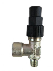 HEN 7773 image