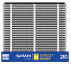 RP 210 Image