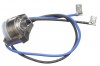 RUS 08219273 Image