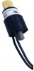 SEA SMR440 Image