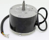 TRNP MOT14554 Image