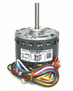 TRNP MOT16141 Image