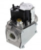 WHI 36G22-254 Image